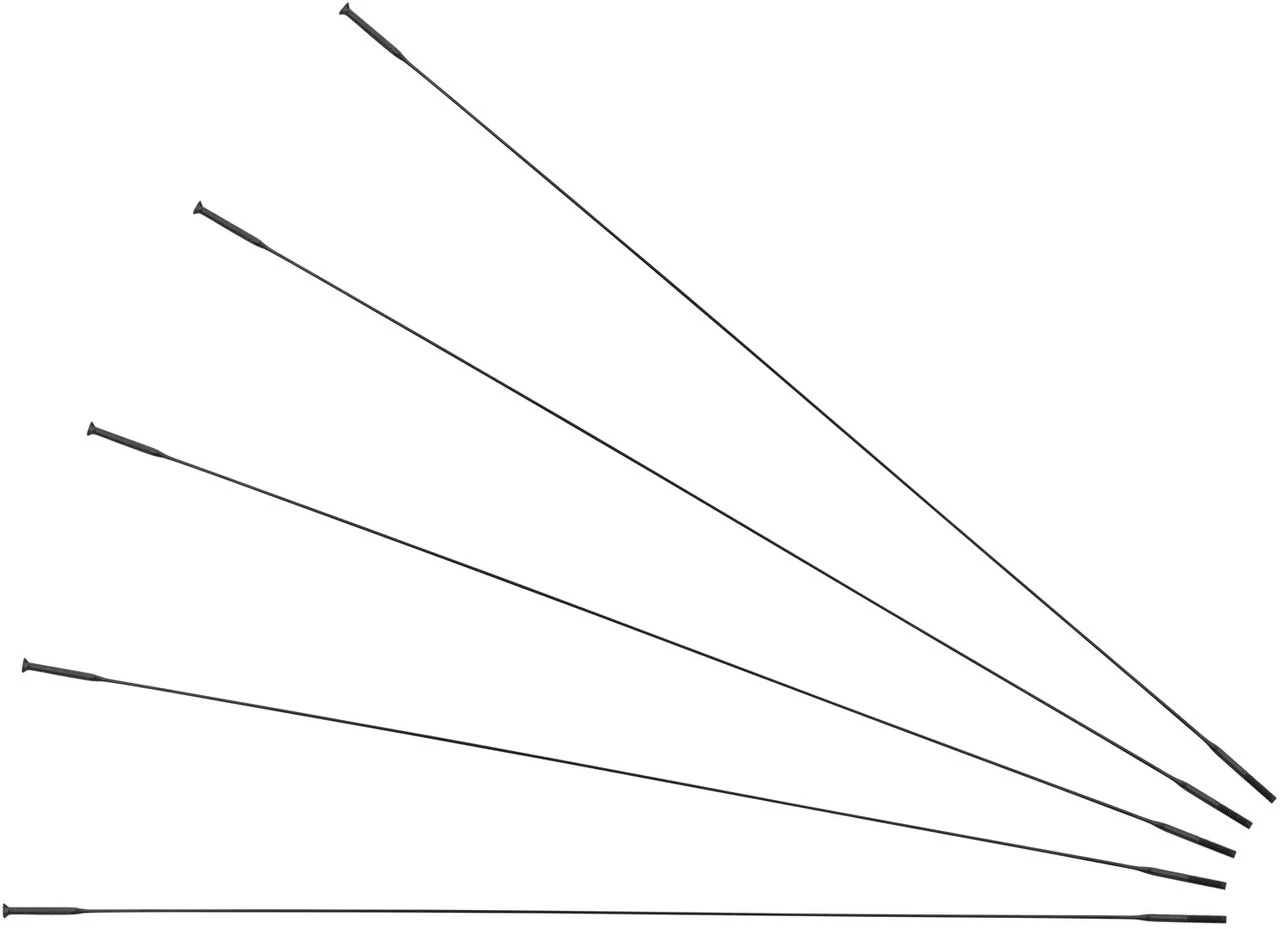 Sapim CX-Ray Straightpull Speichen + Nippel - 5 Stück 3 Sapim CX-Ray Straightpull Speichen + Nippel - 5 Stück