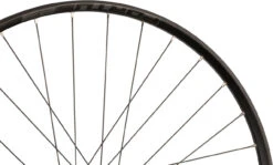 HOPE Pro 4 + Fortus 23 Disc 6-Loch 29" Boost Laufradsatz -Laufräder Verkäufe 395349
