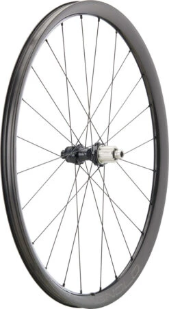 Campagnolo® Levante Carbon Disc Center Lock 28" Laufradsatz -Laufräder Verkäufe 474469