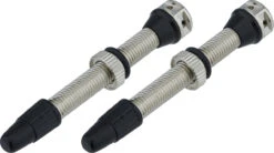 FiveWay Tubelessventil - 2 Stück